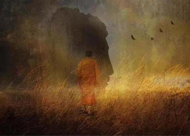 金刚经带来勇气与智慧,金刚经智慧与财富之源