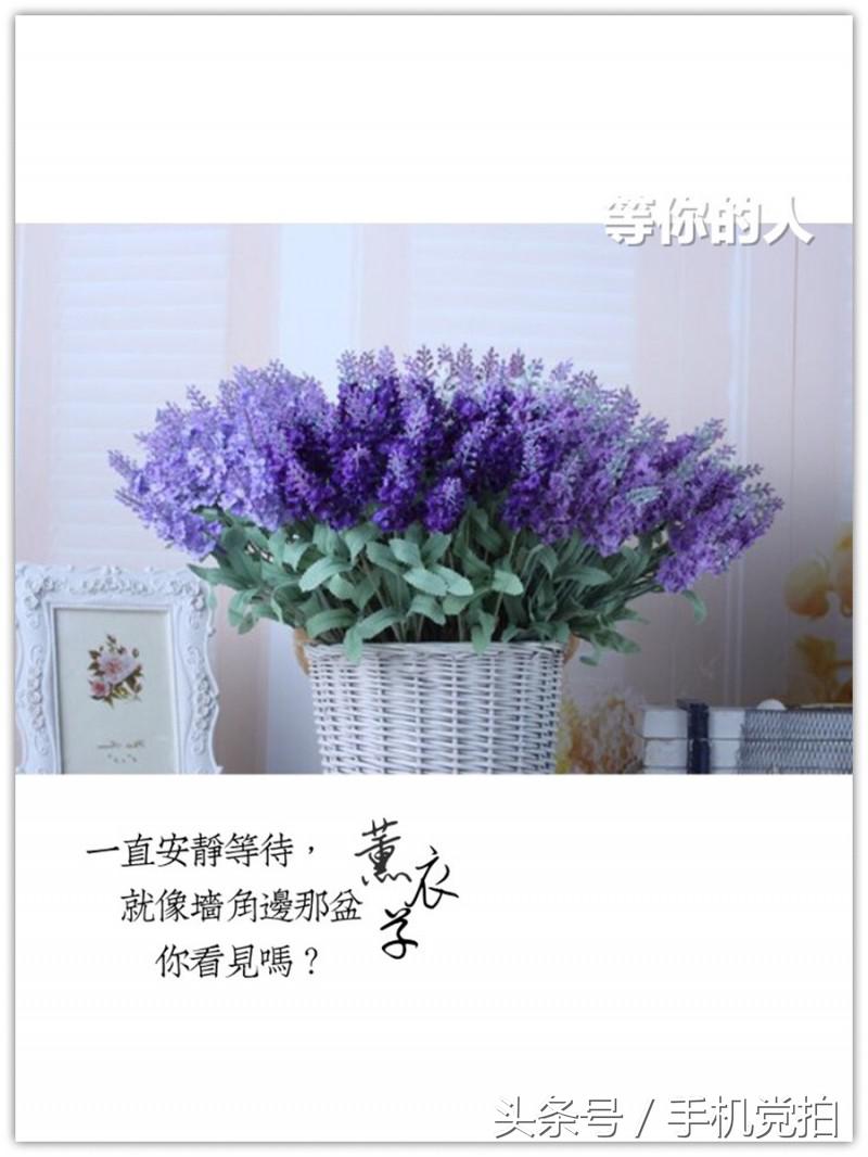 七夕节适合表白的数字浪漫,七夕送玫瑰花卡片写什么情话