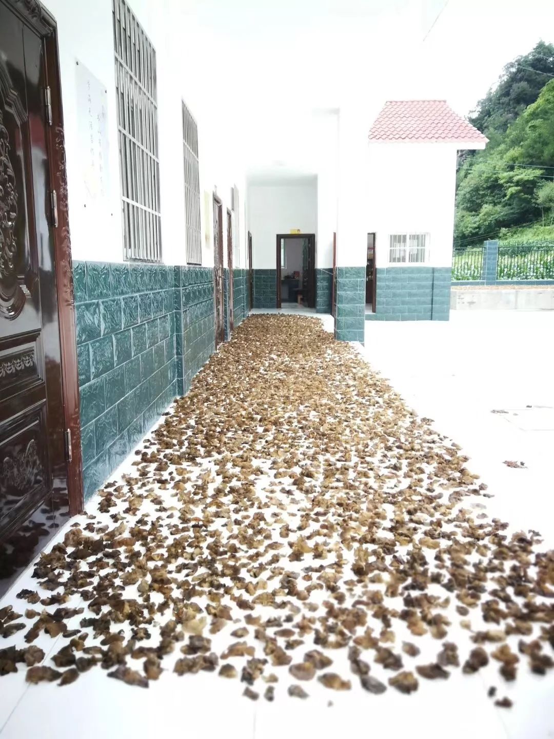 广元旺苍这家超市建成啦，以“德”换物不要钱！