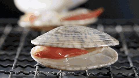 虎门新湾渔港新闻,虎门镇新湾最新消息