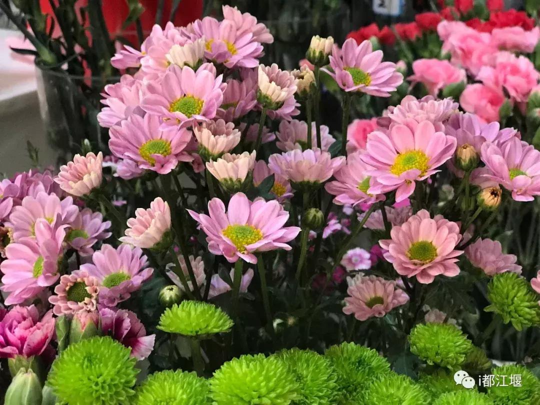 七夕惊喜仪式感,七夕最值得准备的仪式感