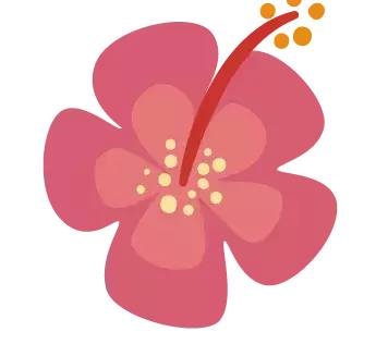 福建省运会足球甲组赛程,省运会女子足球比赛时间表