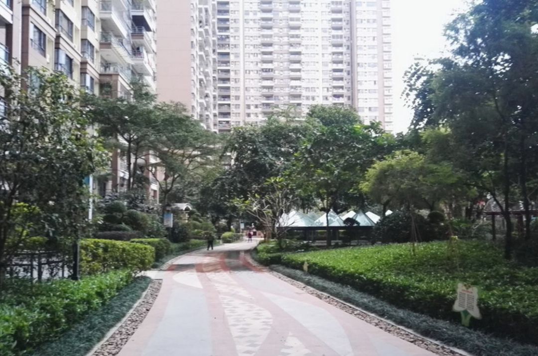 又双叒叕上新了,肇庆法拍房最新消息