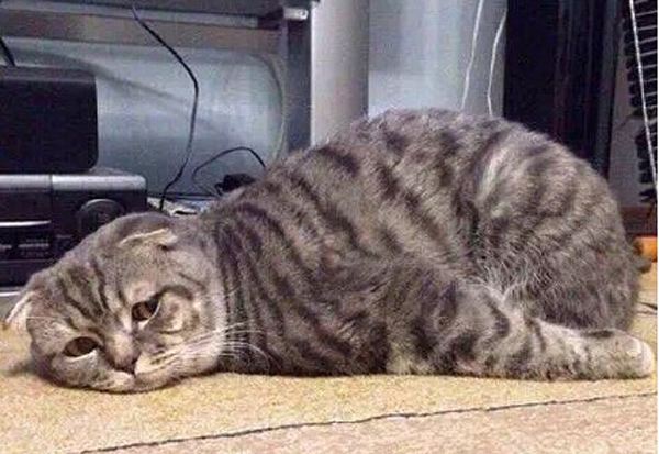 网红美白精华值得买吗,热门美白精华真人测试