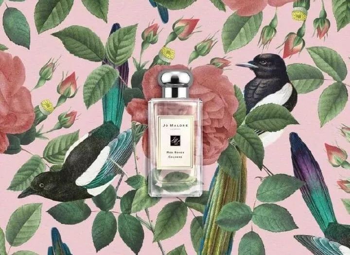 七夕你看到了什么,七夕过后让你看清一个人