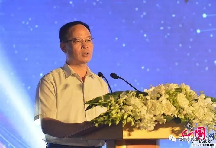 陇南武都橄榄产业发展,陇南油橄榄产业