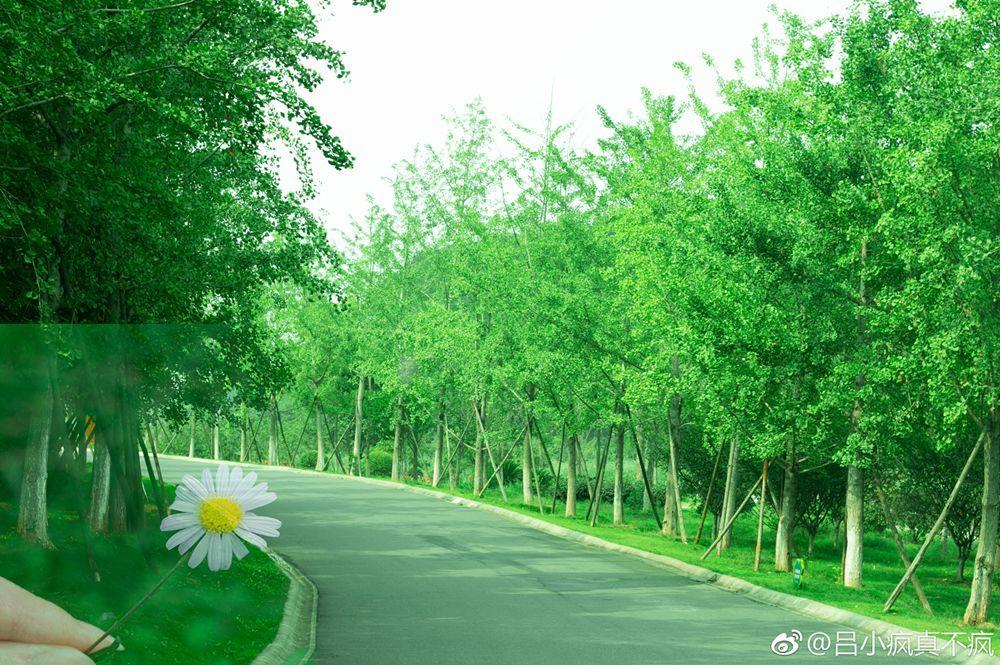 武汉一日游必去十大免费景点,武汉周边免费一日游自驾哪里好玩