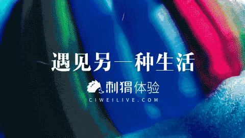 第一次出国怎么取机票,第一次出国机票怎么选择