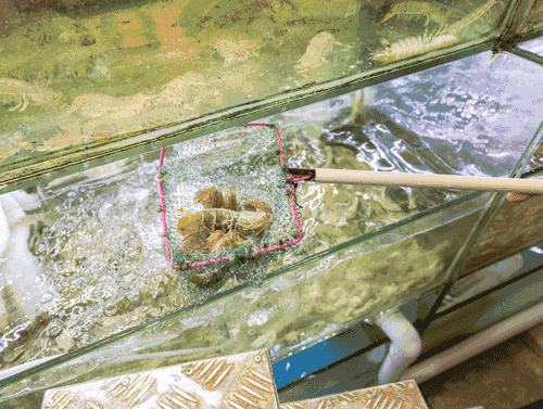 珠海高铁就能到的小县城，藏着圣托里尼的浪漫，济州岛的清新！