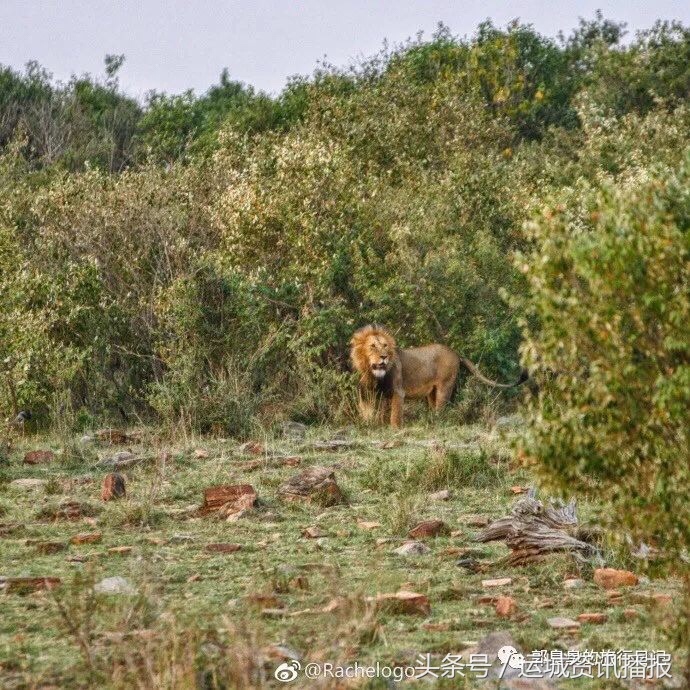20岁的运城姑娘是如何走遍世界的