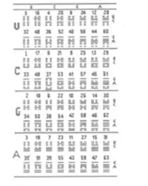 周易与现代心理学,周易与科学的互通