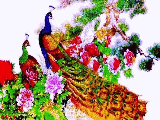 会动的漂亮图片,会动的图片十张