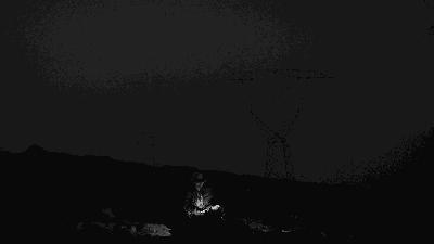 电影塔洛讽刺什么,塔洛最后的结局