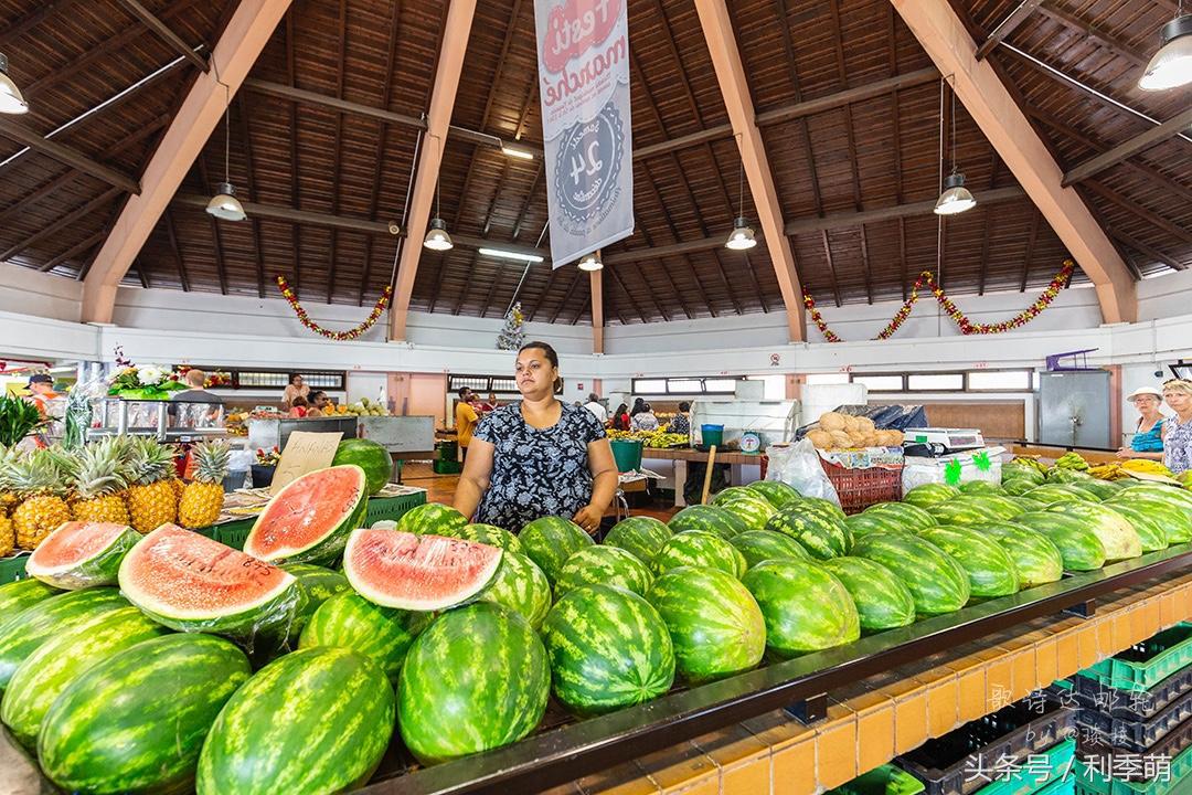 「透视旅行」依依不舍告别“鸭岛”