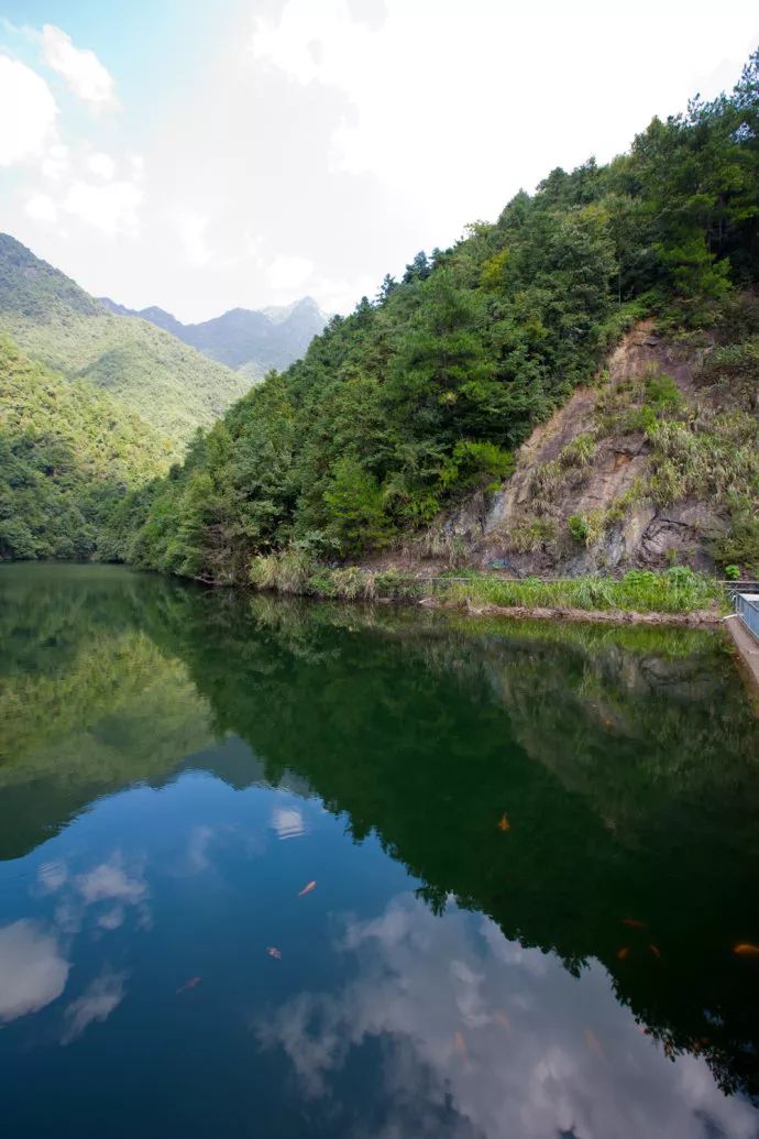 丽水遂昌市区,在丽水的遂昌