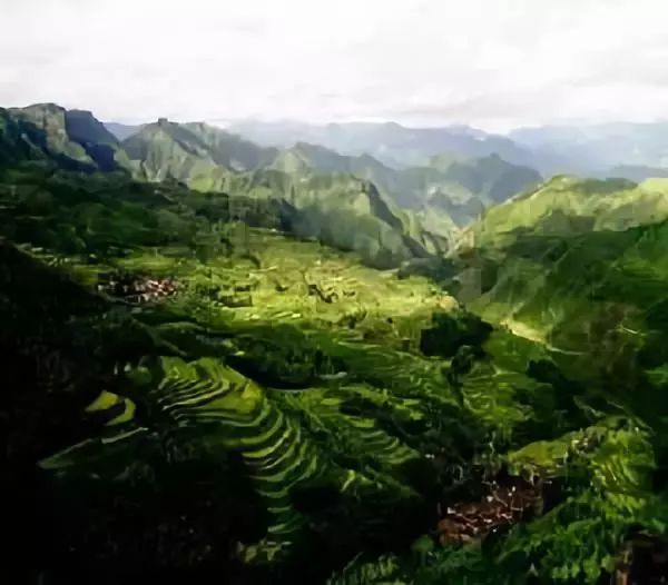 丽水遂昌市区,在丽水的遂昌