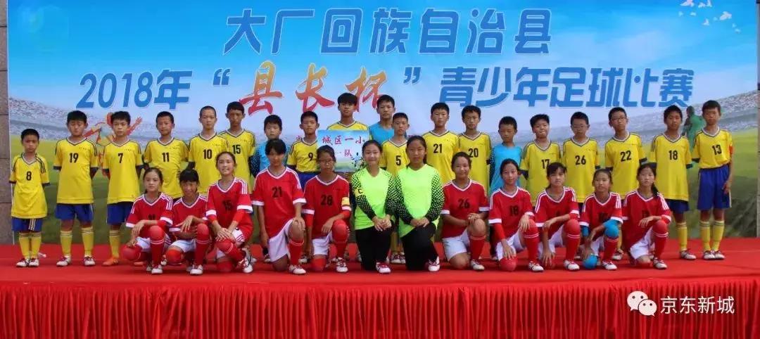 县长杯比赛,大厂县第五届县长杯足球比赛