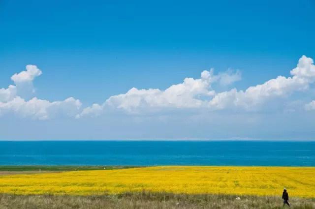 全国各地食用土特产有哪些,全国各地家乡的特产及用途