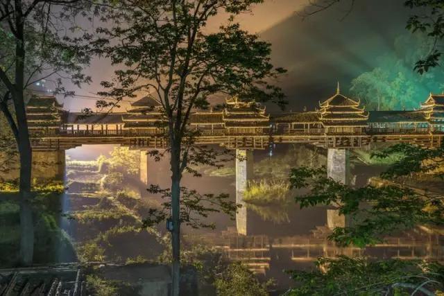 全国各地特产大全视频,长白山特产林下灵芝片东北特产50g