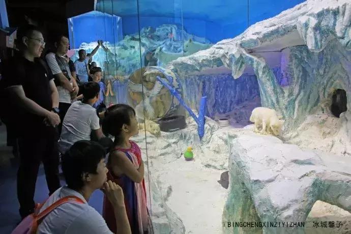 哈尔滨极地公园极地馆时间,哈尔滨极地公园和极地馆区别