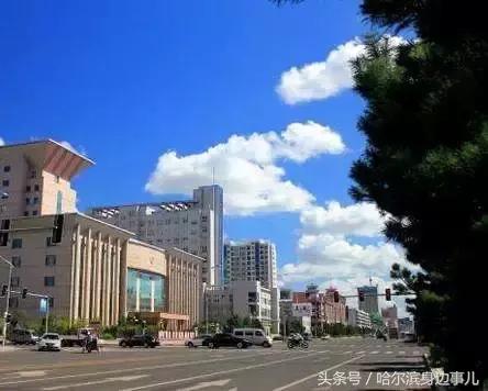 东北特产排行榜前十名黑龙江,黑龙江佳木斯桦南县十大特产