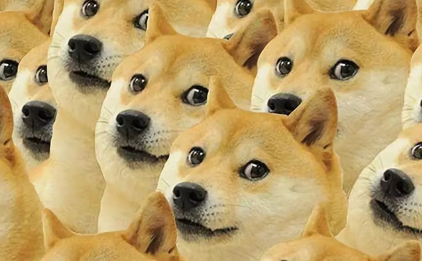 如何选择合适的膜,贴膜的时候如何挑选适合自己的膜