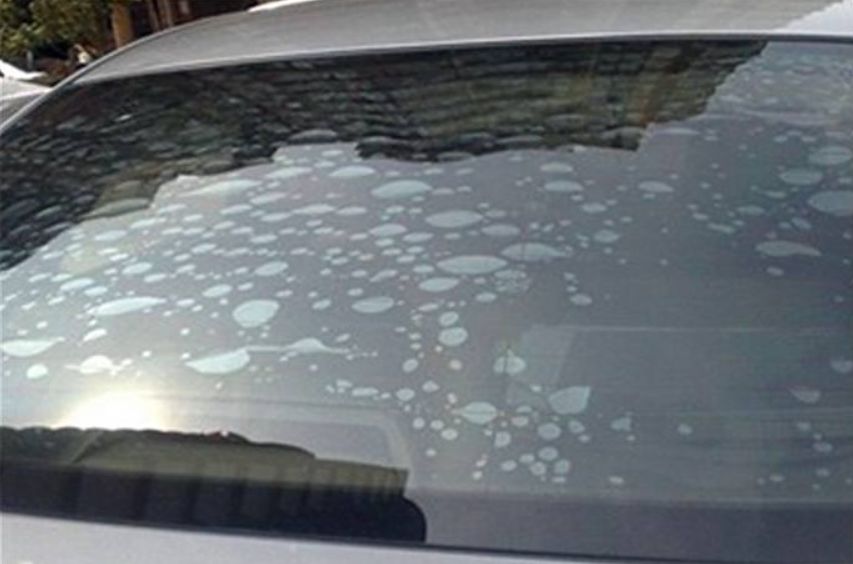 贴膜一定要选对膜,贴膜的时候如何挑选适合自己的膜