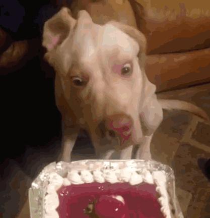 土耳其货币崩盘后怎么样了,土耳其货币崩盘买什么