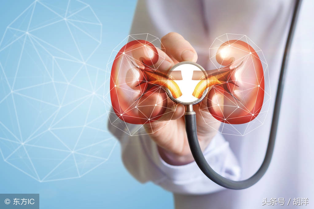 尿中有白细胞怎么治,尿里有白细胞是怎么回事尿路感染