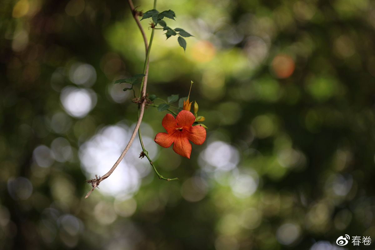 佳能人像风景原图直出参数,佳能复古风人像