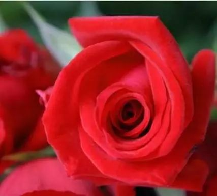 南通三农增产增收,海门三个高质量发展主题