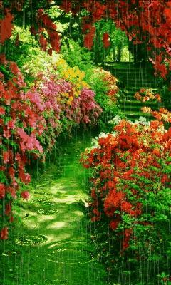 什么才叫做夫妻呢,什么才叫做真正的夫妻