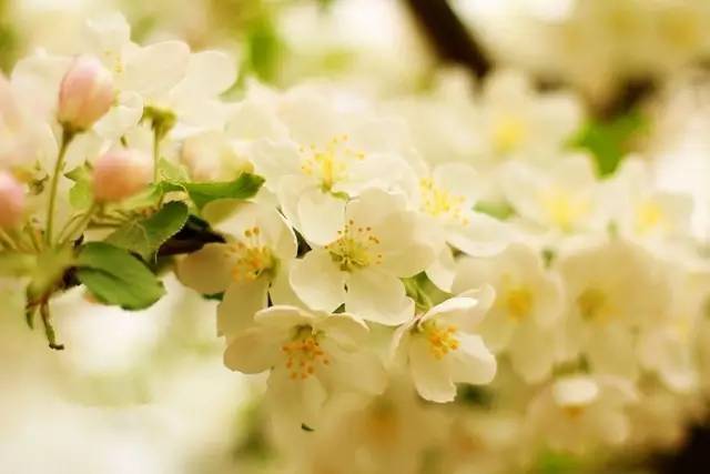 宝鸡十大湿地公园排名,宝鸡市自然生态园林公园