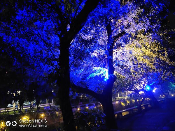 顺德逢简水乡出名小店,顺德逢简水乡属于哪个镇