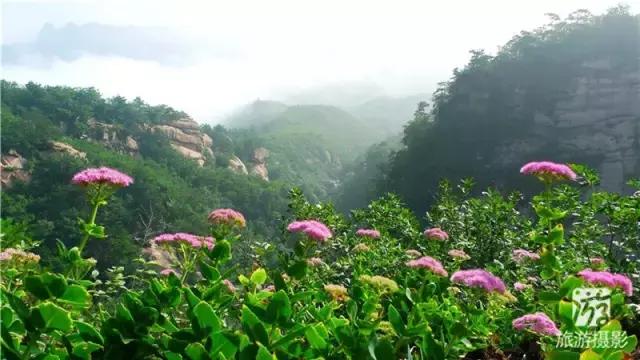 从鞍山站前到岫岩清凉山坐什么车,岫岩县清凉山国家森林公园