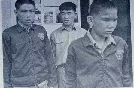 毒奶粉事件揭露,毒奶粉最新事件真的吗