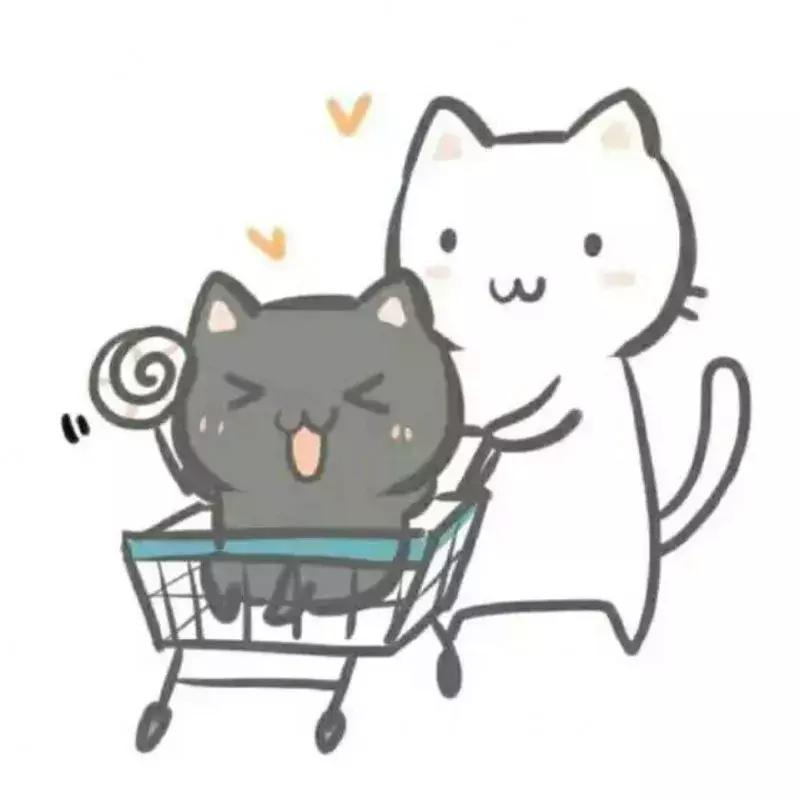 粉丝的包包,粉丝的口红