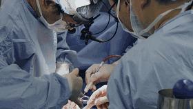 谢谢你们曾经看轻我,谢谢你们的款待