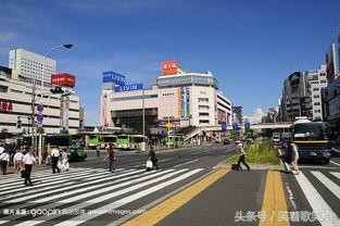 细心贴心有什么区别,细心贴心的行为