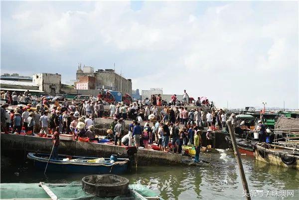 湛江各个渔港,广东渔港码头开海新情况