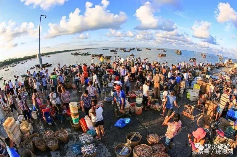 湛江各个渔港,广东渔港码头开海新情况