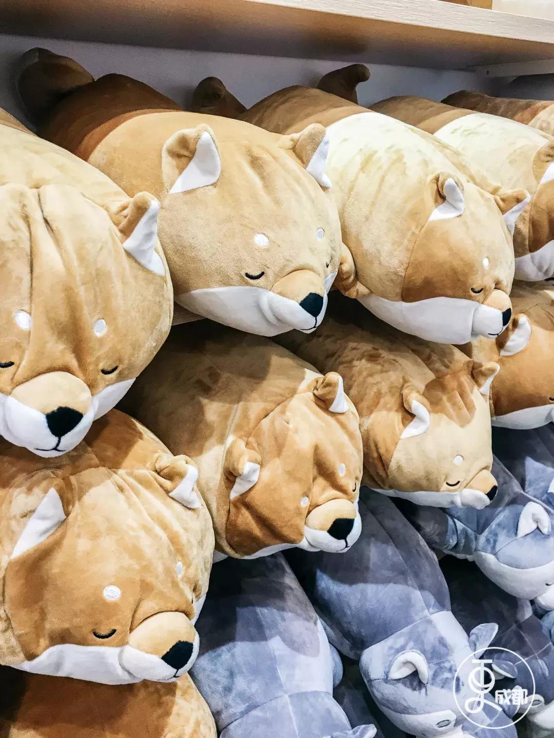 在成都花了30块钱,在成都花很少的钱可以赚钱的项目