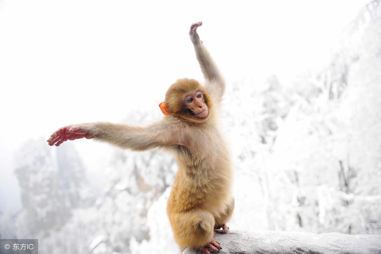 男人随便可以打老婆吗,男人可以打女人吗