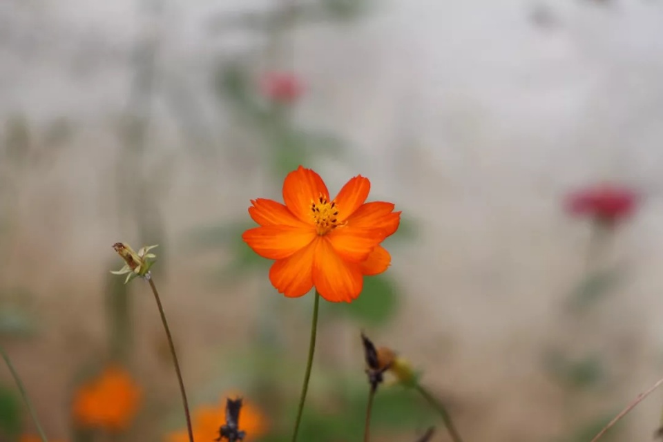 当一无所有的时候深度好文,你一无所有的时候深度好文