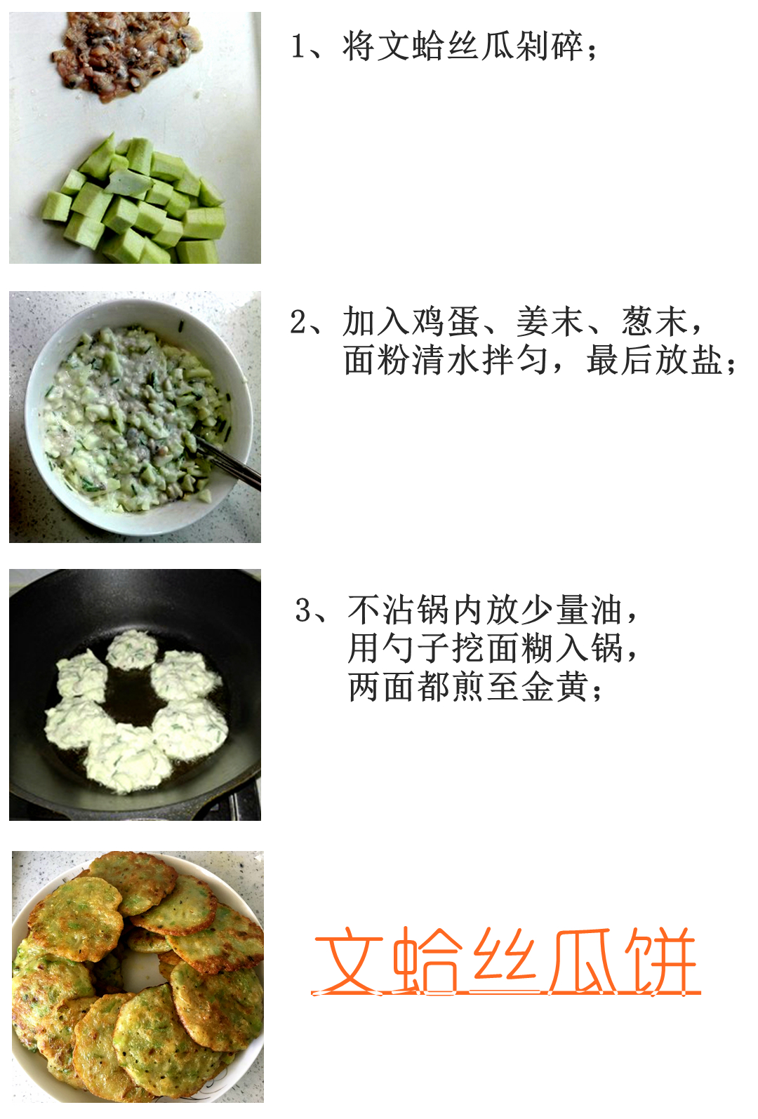 海边贝类种类,各种贝类的名称