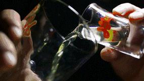 你经常去的酒吧,你经常去的酒吧叫什么