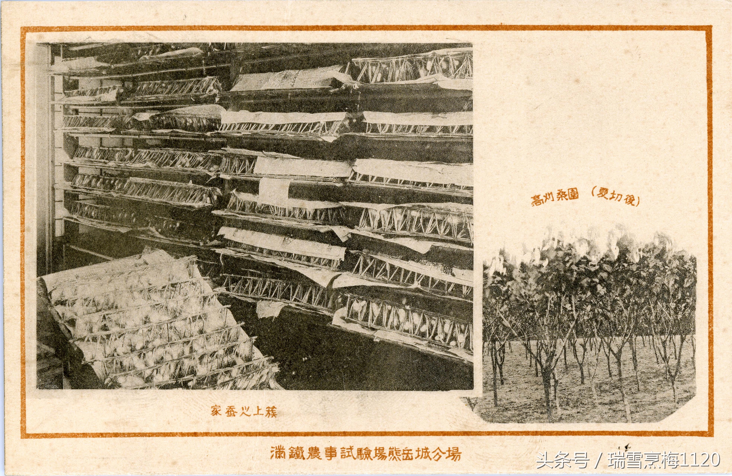 营口熊岳城旧照18幅,熊岳城旧貌视频大全