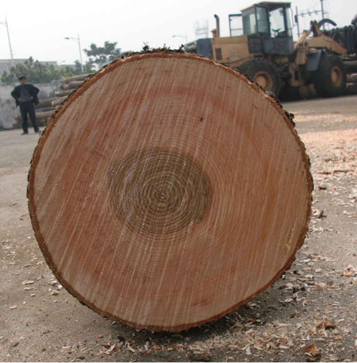 水曲柳更适合用来做哪种家具,水曲柳木适合做什么家具