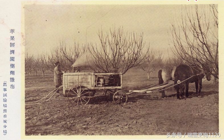 营口熊岳城旧照18幅,熊岳城旧貌视频大全