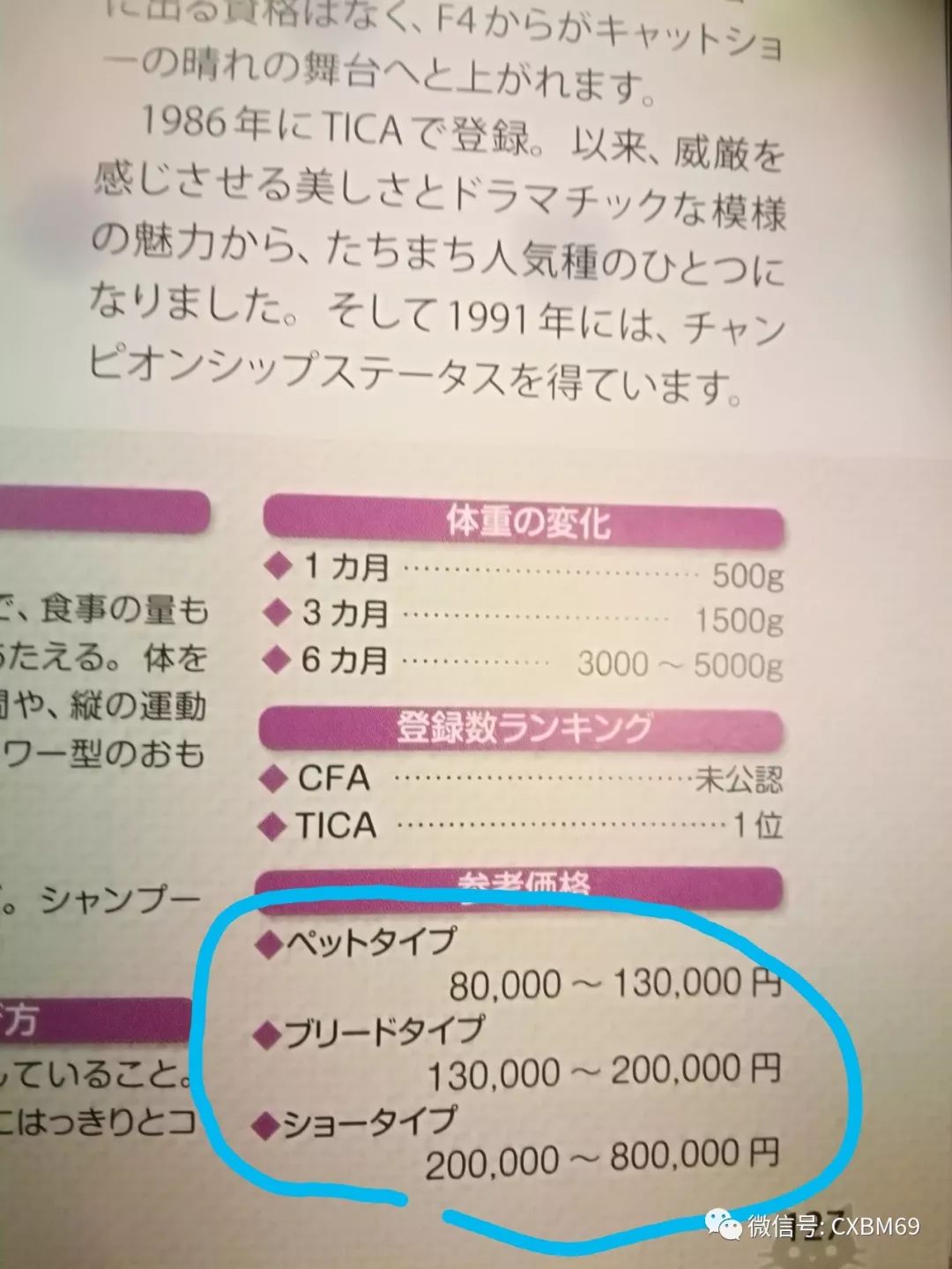 孟加拉豹猫哪个颜色最稀有,孟加拉豹猫纯种一般多少